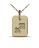 Mikado : pendentif ASTRO signe (or jaune)