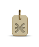 Mikado : pendentif ASTRO signe (or jaune)