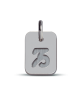 pendentif astro or blanc mikado